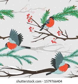 Seamless pattern with bullfinches, snowy branches and needles