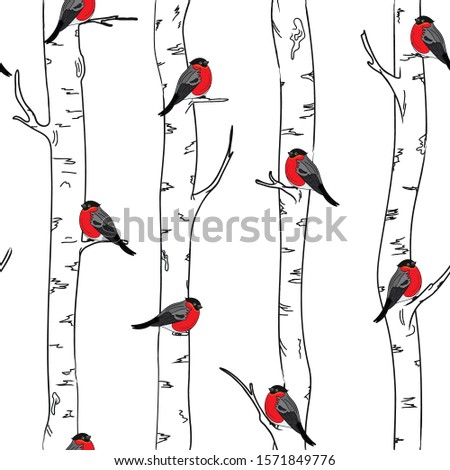 Seamless pattern with with bullfinches stinting on white birches.