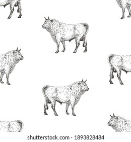 Seamless pattern with  bulls in vintage style