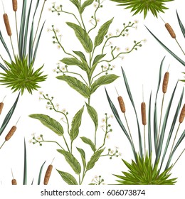 Seamless pattern with bulrush and swamp plants. Vintage hand drawn vector illustration in watercolor style