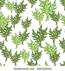 Seamless pattern bunch arugula salad on white background. Modern ornament with lettuce. Random plant template for fabric. Design vector illustration.