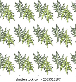 Seamless pattern bunch arugula salad on white background. Simple ornament with lettuce. Geometric plant template for fabric. Design vector illustration.