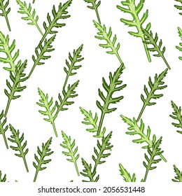 Ensalada de arúgula sin sello en un fondo blanco. Simple adorno con lechuga. Plantilla de planta aleatoria para tela. Diseñar ilustración vectorial.