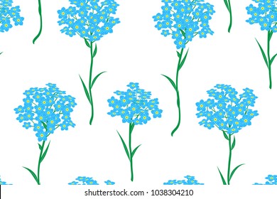 Seamless pattern with bunches of blue forget-me-not flowers on a white background. Vector illustration