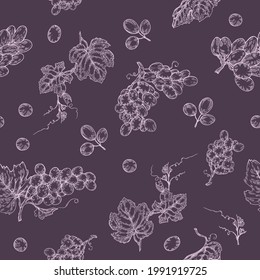 Seamless pattern with bunches of grapes. Detailed hand-drawn sketch, vector illustration