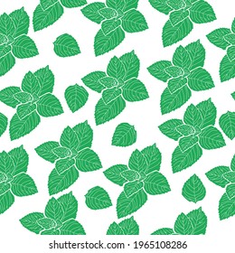 seamless pattern of bunches of mint leaves, gently green fragrant leaves on a white background vector illustration