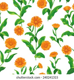 Seamless pattern with bunches of orange calendula flowers on white.