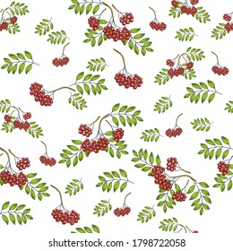 Seamless pattern with bunches of rowan berries on a white background. Vector sketch. Use for packaging, fabrics, backgrounds, web ads, design, napkins.
