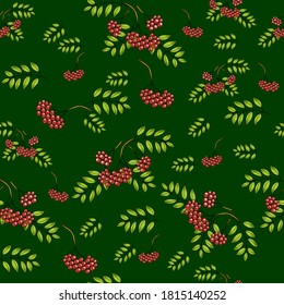 Patrón inmaculado con racimos de bayas de rowan sobre un fondo verde. Esbozo vectorial. Uso para embalaje, telas, fondos, anuncios web, diseño, servilletas.
