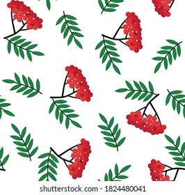 Seamless pattern with bunches of rowan berries on a white background. Vector sketch. Use for packaging, fabrics, backgrounds, web ads, design, napkins. eps