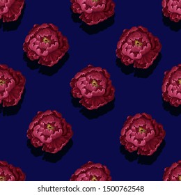 Seamless pattern with burgundy peonies. Vector.