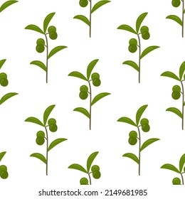 Seamless pattern with a bush of green tea with berries. Vector background for printing on paper, packaging, textiles, fabric, clothing. For designer decor.