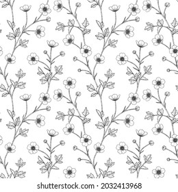 Seamless pattern buttercup floral hand drawn illustration. Design decor for logo, card, save the date, wedding invitation cards, poster, banner.