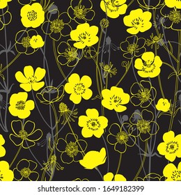 Seamless pattern with buttercups.  Floral vector background.
