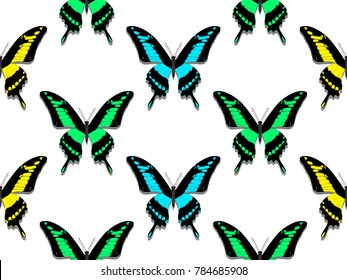 seamless pattern, butterflies of all colors of the rainbow