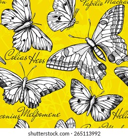 Seamless Pattern Butterflies, Colias Heos, Papilio Machaon, Heliconius Melpomene, Black & White & Yellow