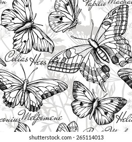 Seamless Pattern Butterflies, Colias Heos, Papilio Machaon, Heliconius Melpomene, Black & White 