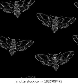 Seamless pattern of butterflies. Death's head moth. Vector background. Hand-drawn style.