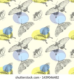 Seamless pattern with butterflies on white background with yellow and blue stains