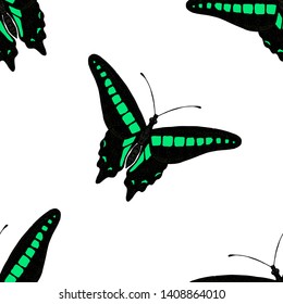 Seamless pattern of butterflies. Vector cartoon background. Hand-drawn style.
