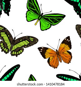 Seamless pattern of butterflies. Vector cartoon background. Hand-drawn style. 