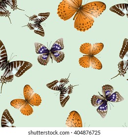 Seamless pattern from butterflies, vector illustration, clip-art