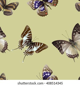 Seamless pattern from butterflies, vector illustration, clip-art