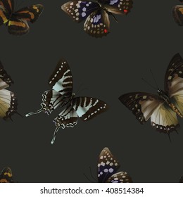 Seamless pattern from butterflies, vector illustration, clip-art