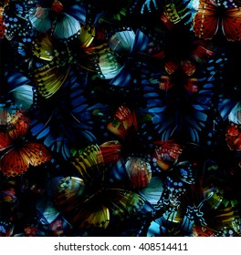 Seamless pattern from butterflies, vector illustration, clip-art