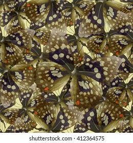 Seamless pattern from butterflies, vector illustration, clip-art