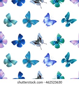 Seamless pattern from butterflies, vector illustration, clip-art