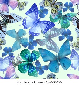 Seamless pattern from butterflies, vector illustration, clip-art