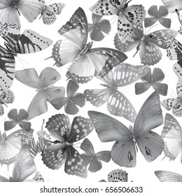 Seamless pattern from butterflies, vector illustration, clip-art