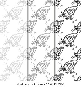 Seamless pattern. Butterfly