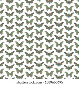 Seamless pattern with butterfly cicadas sketch, orange olive green gray and black contour isolated on white background. simple art. Can be used for Gift wrap, fabrics, wallpapers. Vector
