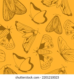 Seamless pattern with butterfly. Hand drawn vector illustration in line art style. Decorative elements for design. Wings concept set with beautiful colors
