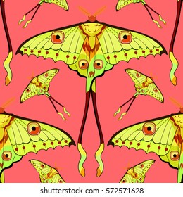 seamless pattern Butterfly Madagascar comet moth moon on pink . vector illustration