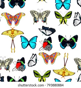 seamless pattern  butterfly Ornithoptera paradisea, wings  bird  paradise,  blue morpho monarch, Madagascar comet moth moon, Diaethria clymena.  vector illustration
