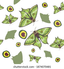 Seamless pattern of butterfly silhouette, abstract circles and Graellsia isabellae butterfly, she is bright green and with a fluffy brown torso. Isolated on a white background.