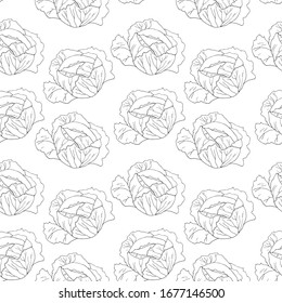 Seamless pattern with cabbage. Linear drawing of vegetable. Art can be used for packaging design element; menu design. 