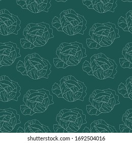 Seamless pattern with cabbage. Linear drawing of vegetable. Art can be used for packaging design element; menu design. 
