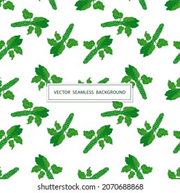 Seamless pattern with cabbage on a white background. The Brussels sprouts. Vector illustration of fresh vegetables in cartoon simple flat style.