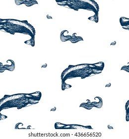  Seamless pattern with Cachalot, sperm whale. Hand drawing.