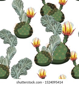 Seamless pattern with cacti in bloom. Vintage botanical illustration in watercolor style. Cactus. White background.