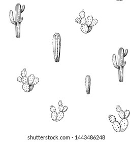 Seamless pattern with cacti and flowers. Hand drawn sketches converted to vector