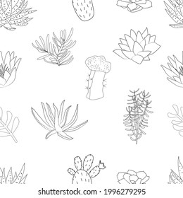 Seamless pattern with cacti and succulents. Set of hand drawn cacti and succulents. Spiny desert plants, cactus flowers and tropical plants. 