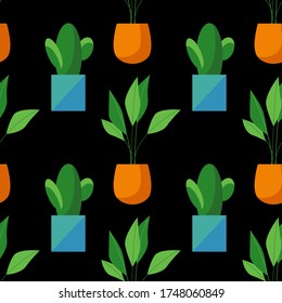 Seamless pattern of cactus and ficus in pots isolated on black background. Simple cartoon vector style. Flat design. House plant illustration. 