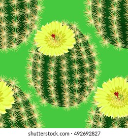 seamless pattern with cactus flower yellow spain vector illustration
