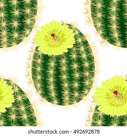 seamless pattern with cactus flower in yellow vector illustration
