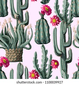 Seamless pattern with cactus and flowers on pink background. Vector illustration.